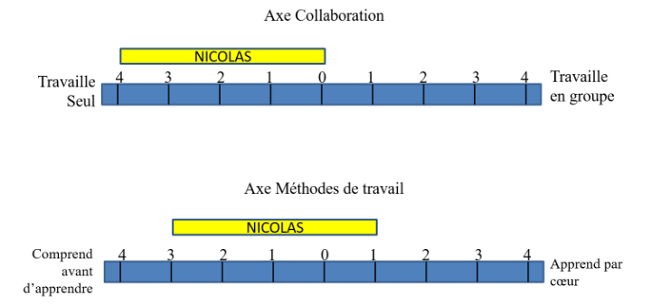 Figure 7 : Le rapport au savoir de Nicolas